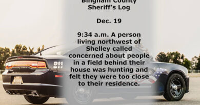 Details of a sheriff log in Bingham County