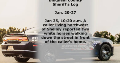 A sheriff logged report
