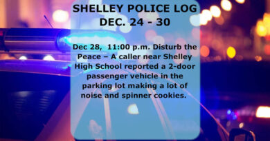 A police logged report for an incident in Shelley