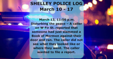 Shelley police log from March 10 to 17