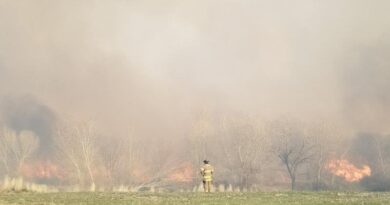 A fireman examining the wildfire