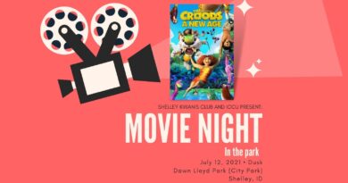 A movie night event flyer