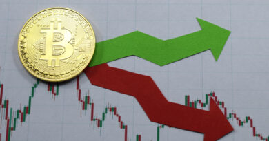 Bitcoin rise and fall prediction