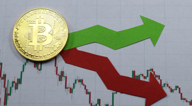Bitcoin rise and fall prediction