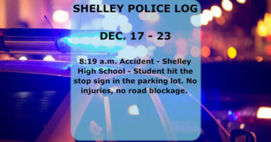 Shelley police log report